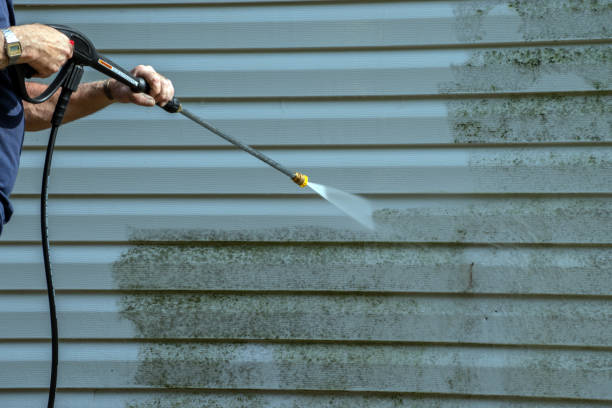 Solar Panel Cleaning